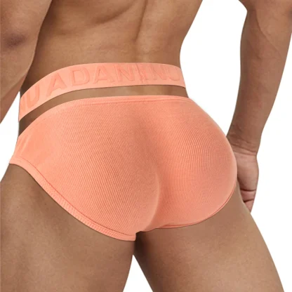 Double Waist Strap Briefs - Image 6