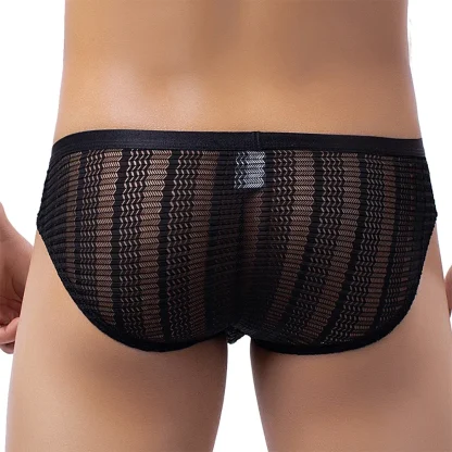 Low Waisted Mesh Briefs - Image 4