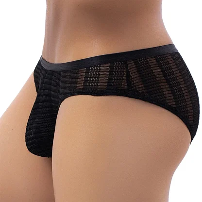 Low Waisted Mesh Briefs - Image 3